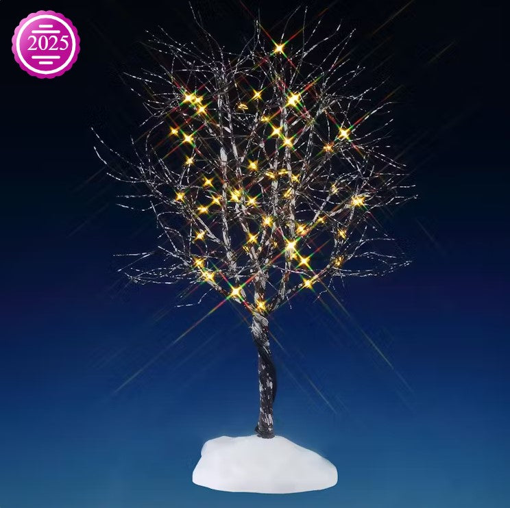 Butternut Tree, Clear Light