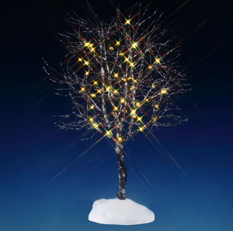 Butternut Tree, Clear Light