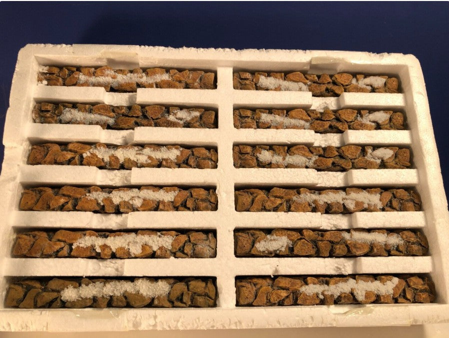 Village Stone Wall (Set of 12)