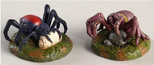 Spider Phobia