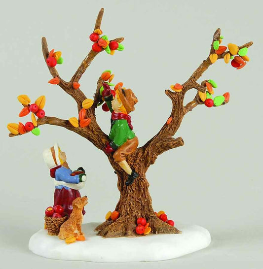Up In The Apple Tree