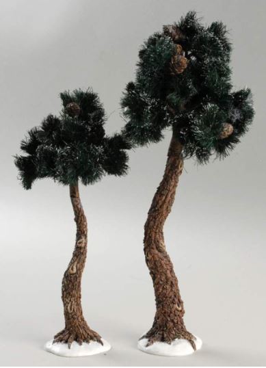 Pinewood Trees, (Large)