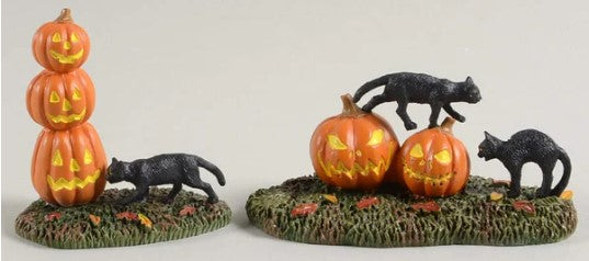 Scary Cats Pumkins (Set of 2)