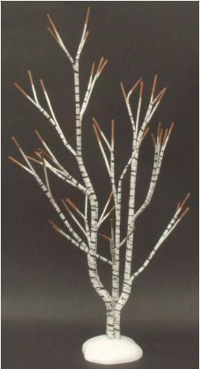 Winter Birch Tree